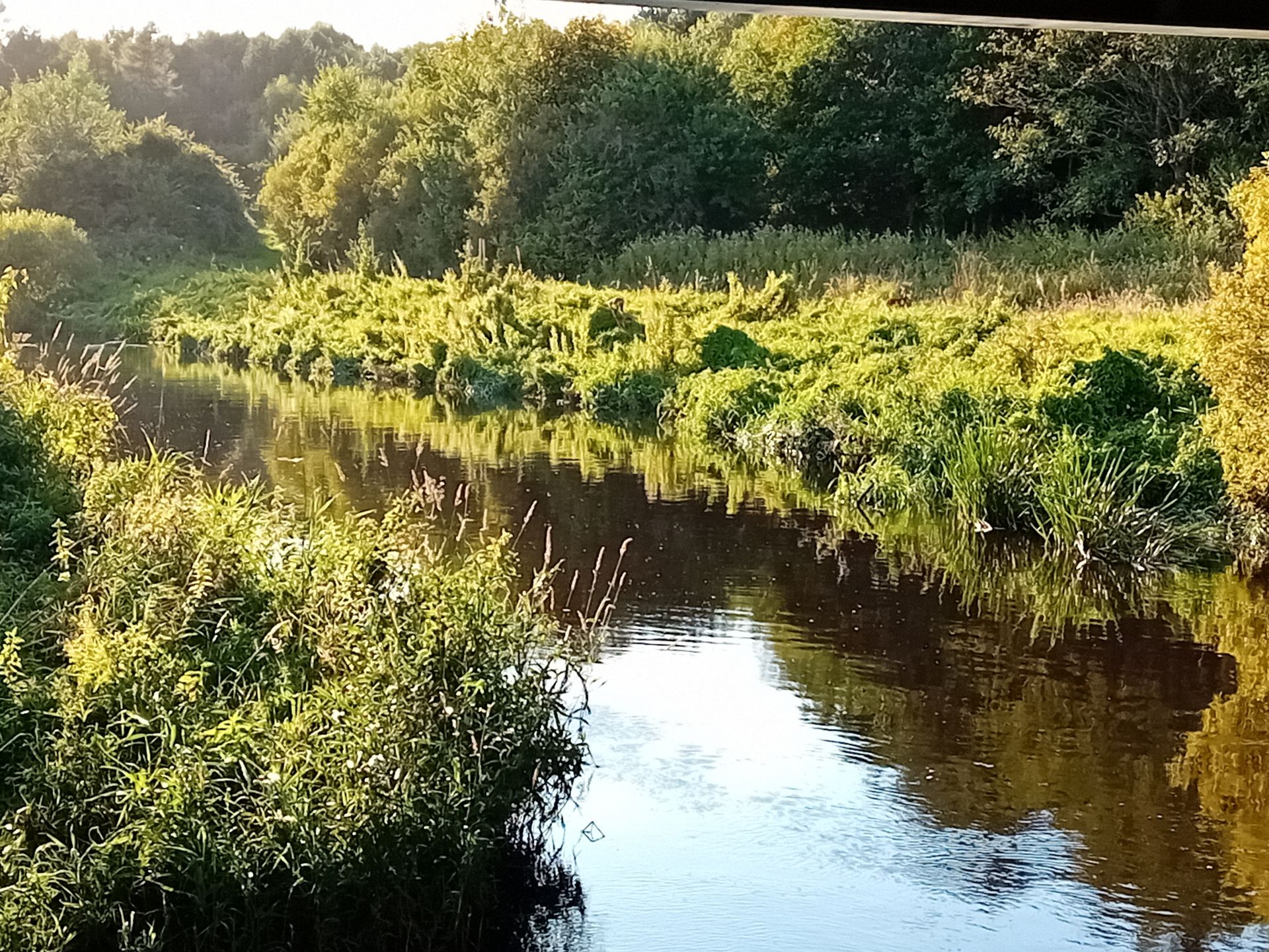 River Almond